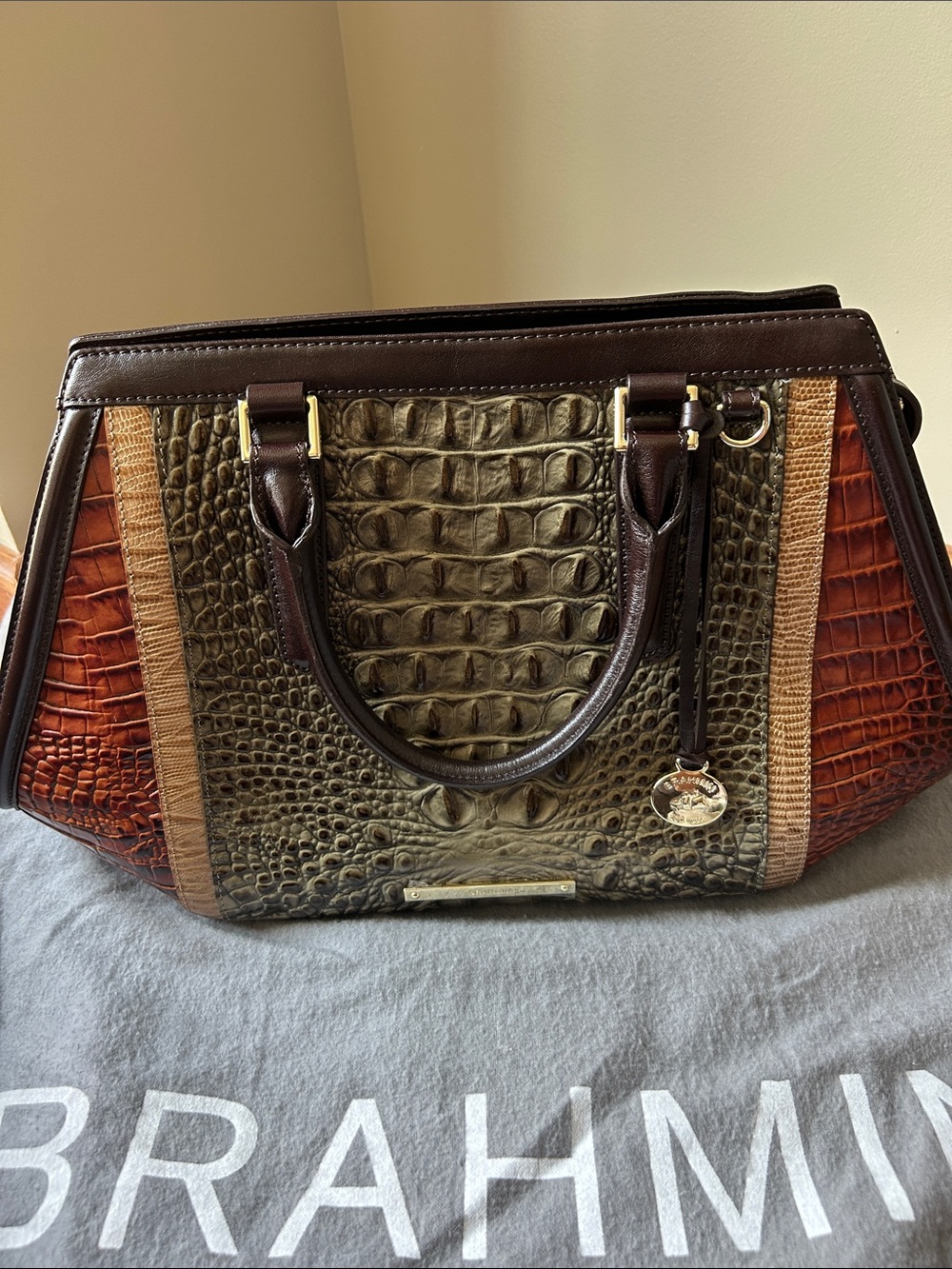 Brahmin Olive, Rust & Brown Croc-Embossed Satchel